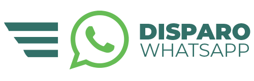 Disparo WhatsApp Agencia de Web Sorocaba Otimização SEO Gerenciamento de Redes Sociais Sorocaba Otimização Google Sorocaba